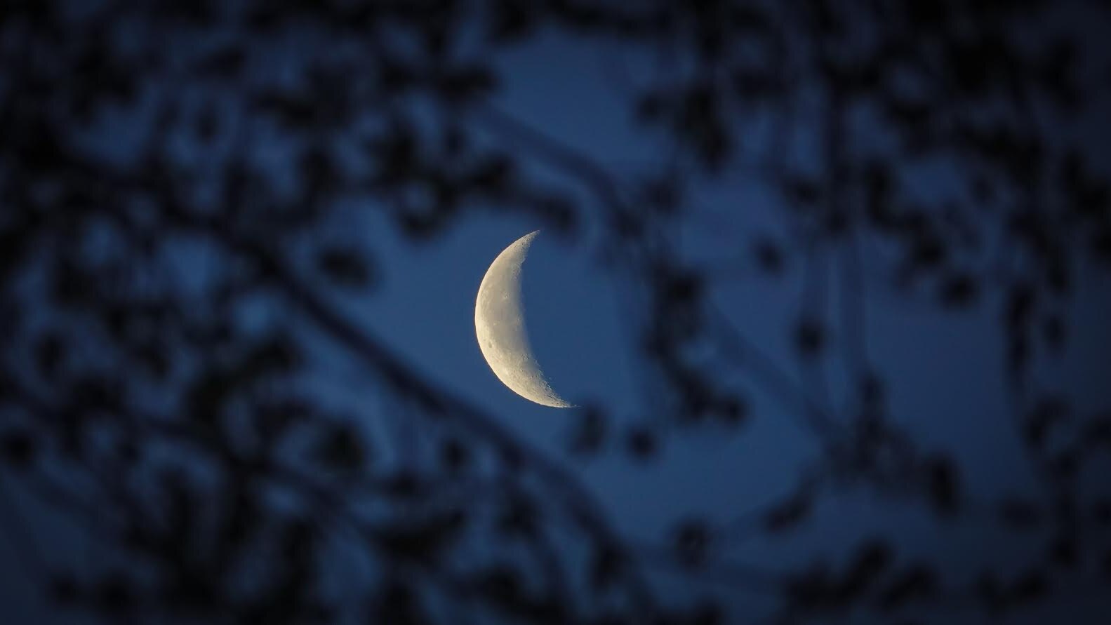 Les Bienfaits De La Lune Baudelaire Les bienfaits de la lune, de Charles Baudelaire