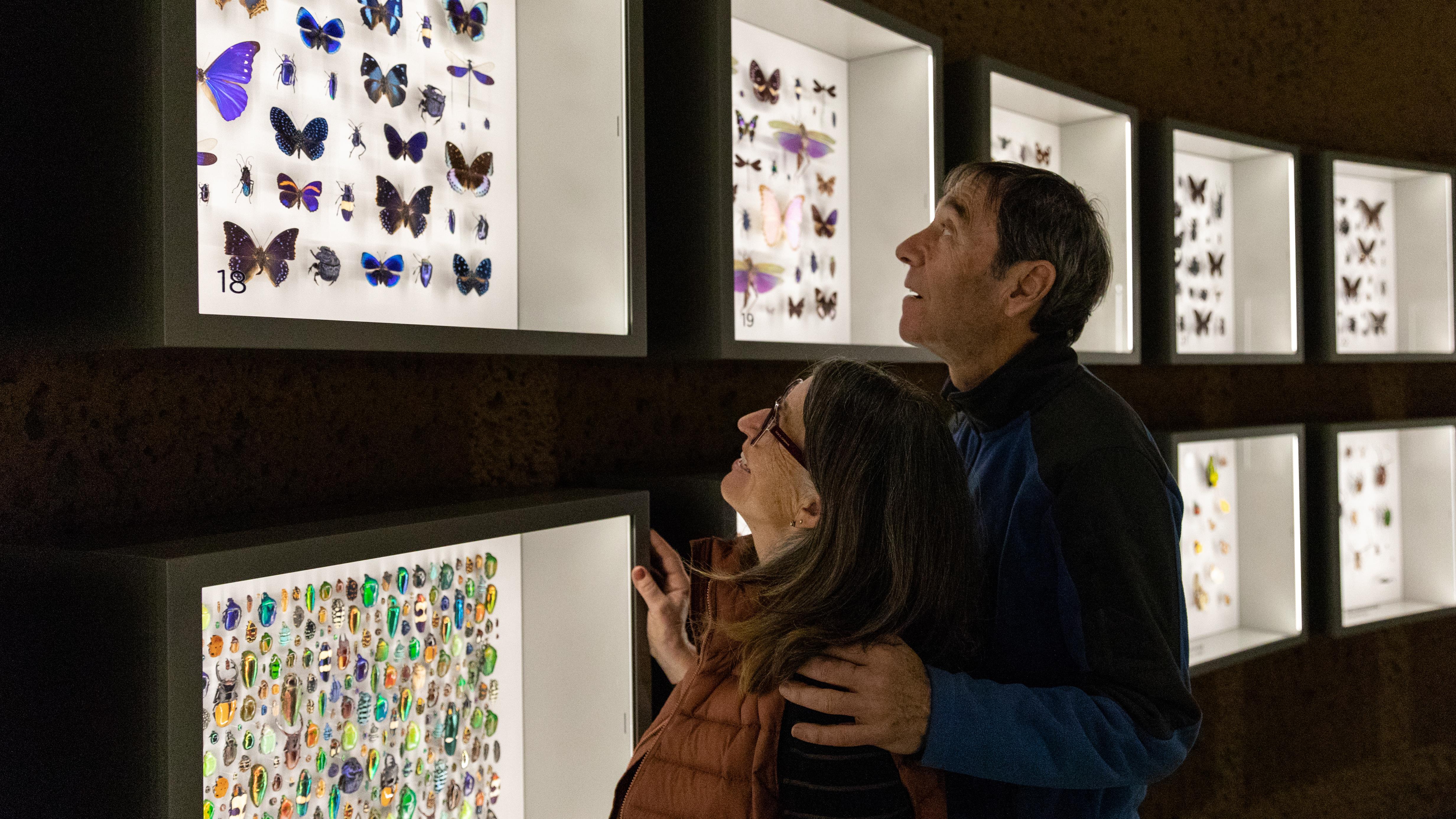 Entrevue avec Maxim Larrivée : L’Insectarium de Montréal fait peau neuve
Entrevue avec Maxim Larrivée : L’Insectarium de Montréal fait peau neuve