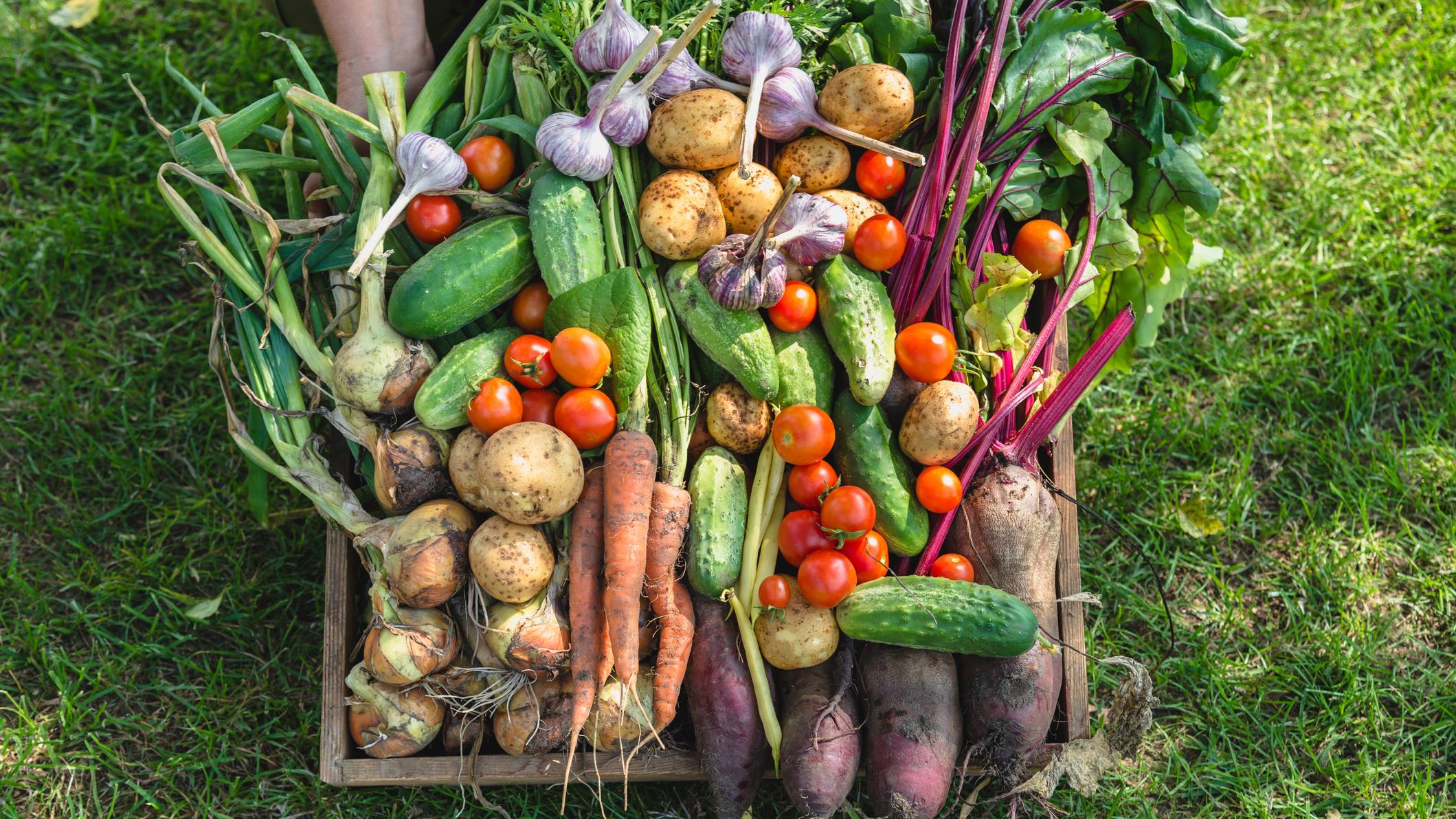 Le Centre d’action écologique exige de l’aide pour l’industrie alimentaire