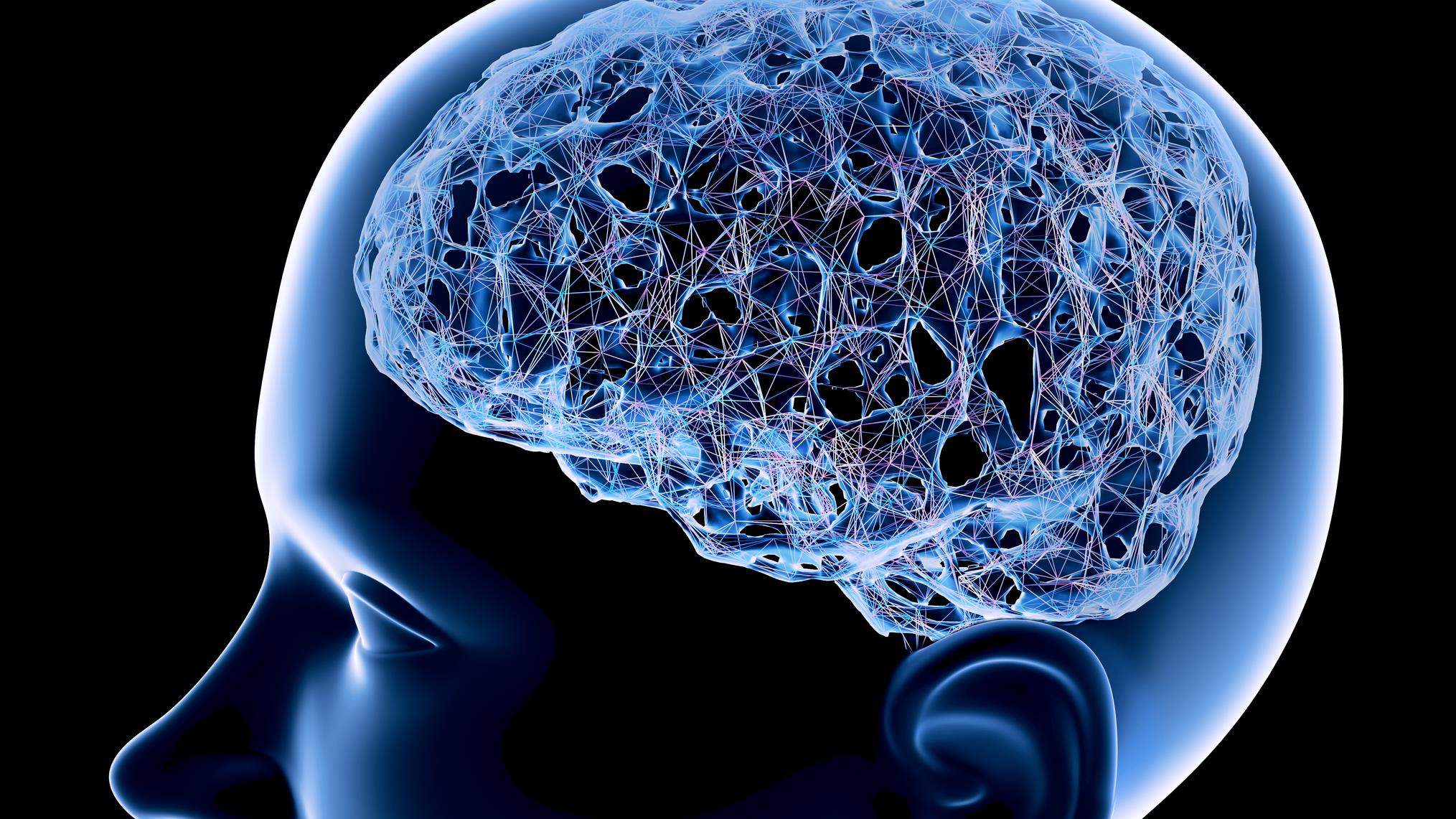 Un entreprise sherbrookoise vise à mettre un implant dans le cerveau humain