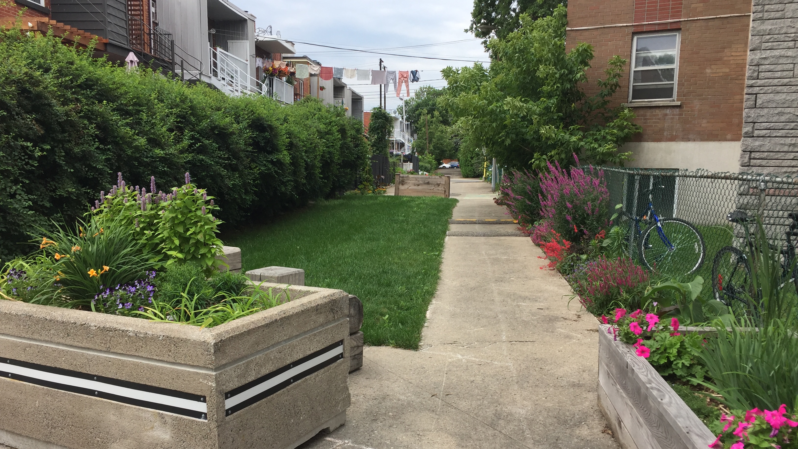 Les ruelles vertes, une tendance en plein essor | OHdio | Radio-Canada