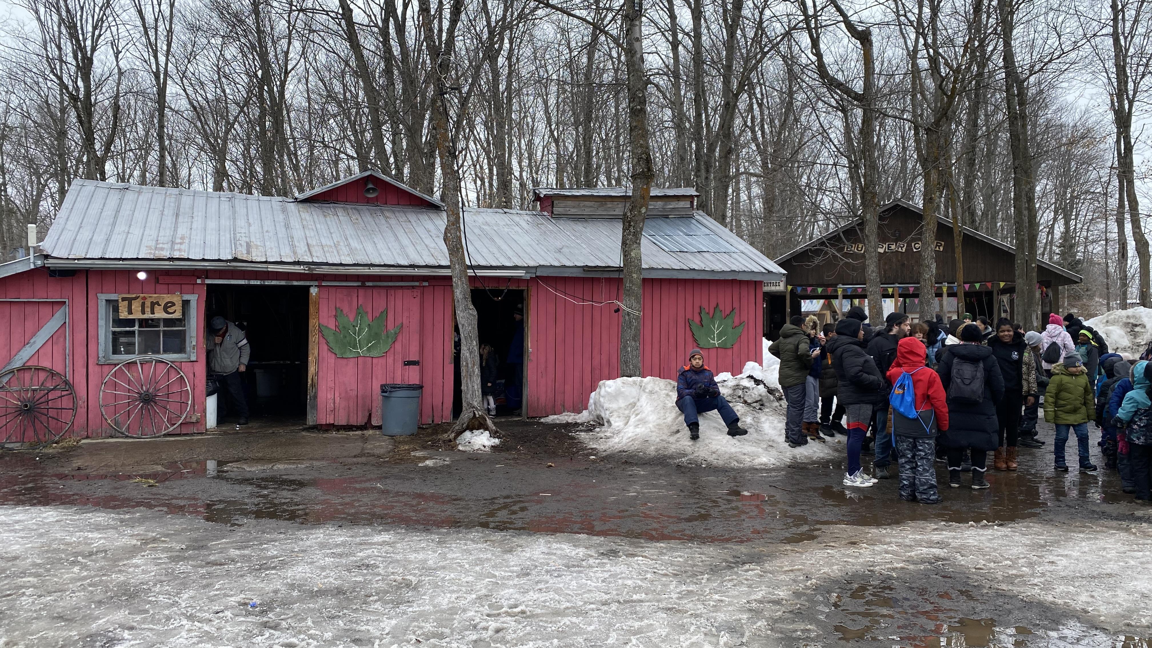 Un plaisir renouvelé dans les érablières après la pandémie
Un plaisir renouvelé dans les érablières après la pandémie