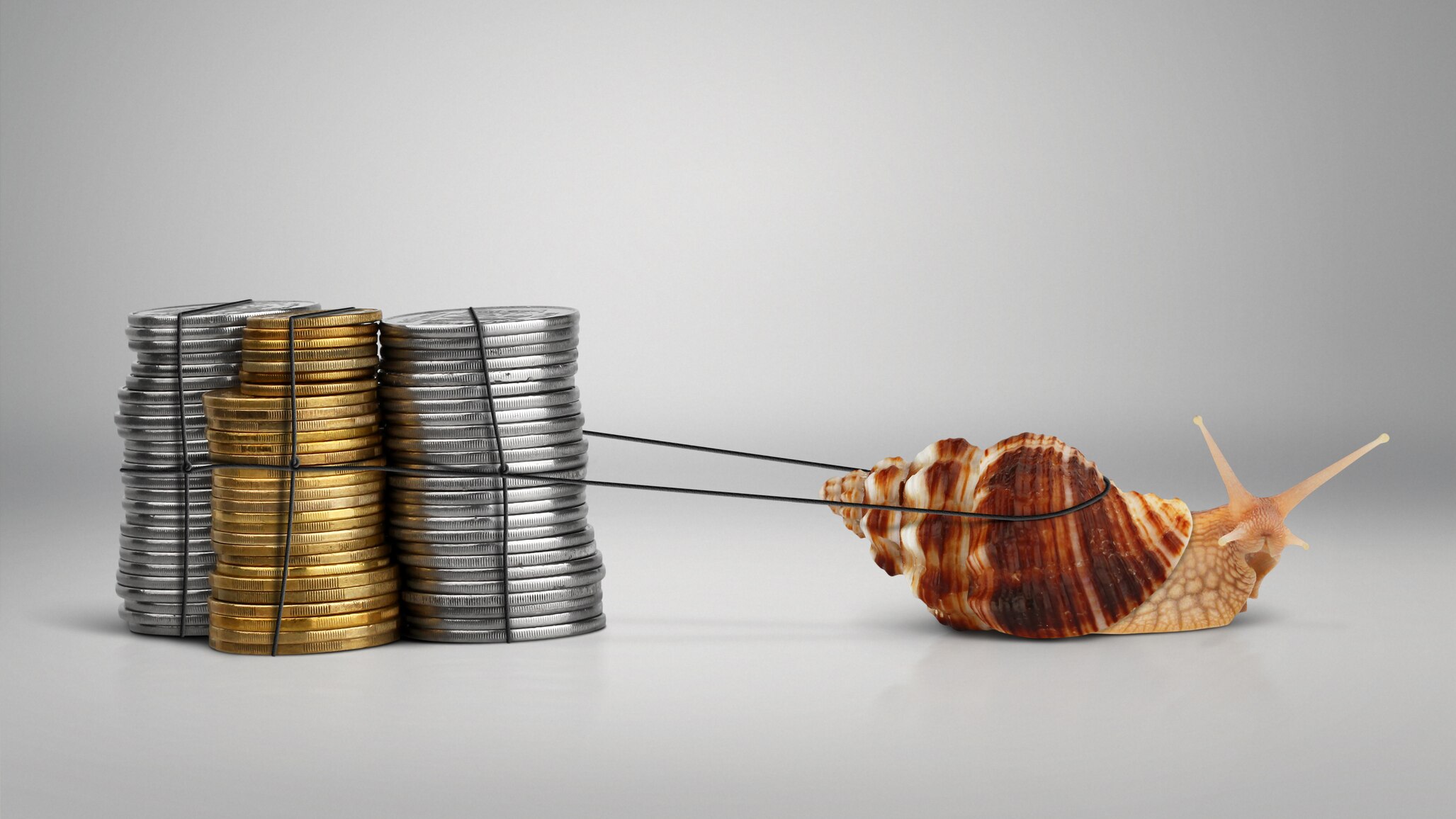 Le mouvement slow money : investir son argent localement | OHdio ...
