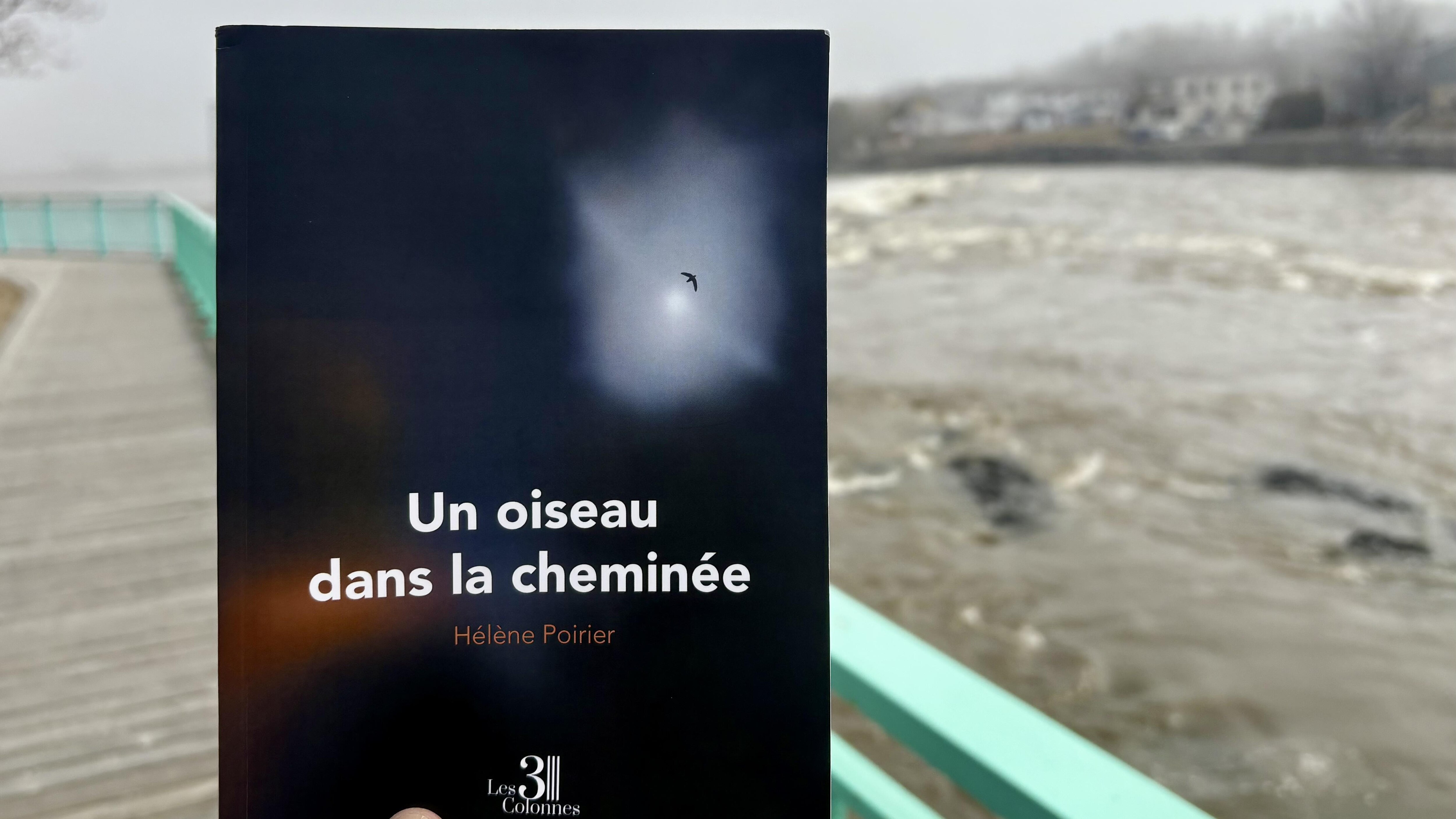 Un oiseau dans la cheminée, d’Hélène Poirier : défaire les nœuds héréditaires