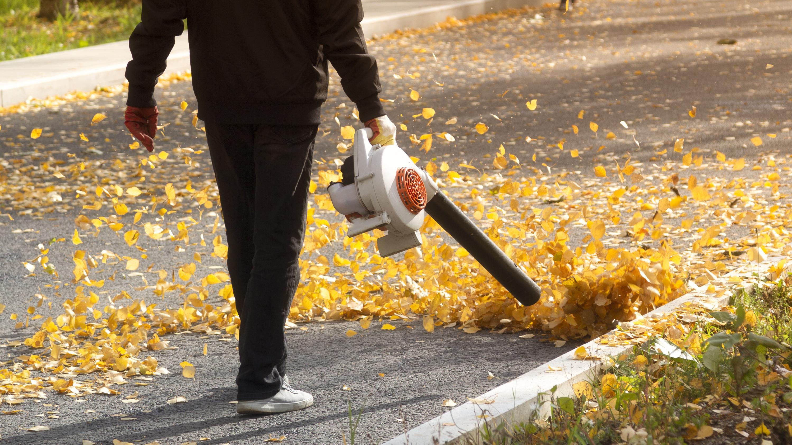 Idéal pour l'automne, ce souffleur à feuilles sans fil est proposé à un  prix à peine croyable - Le Parisien