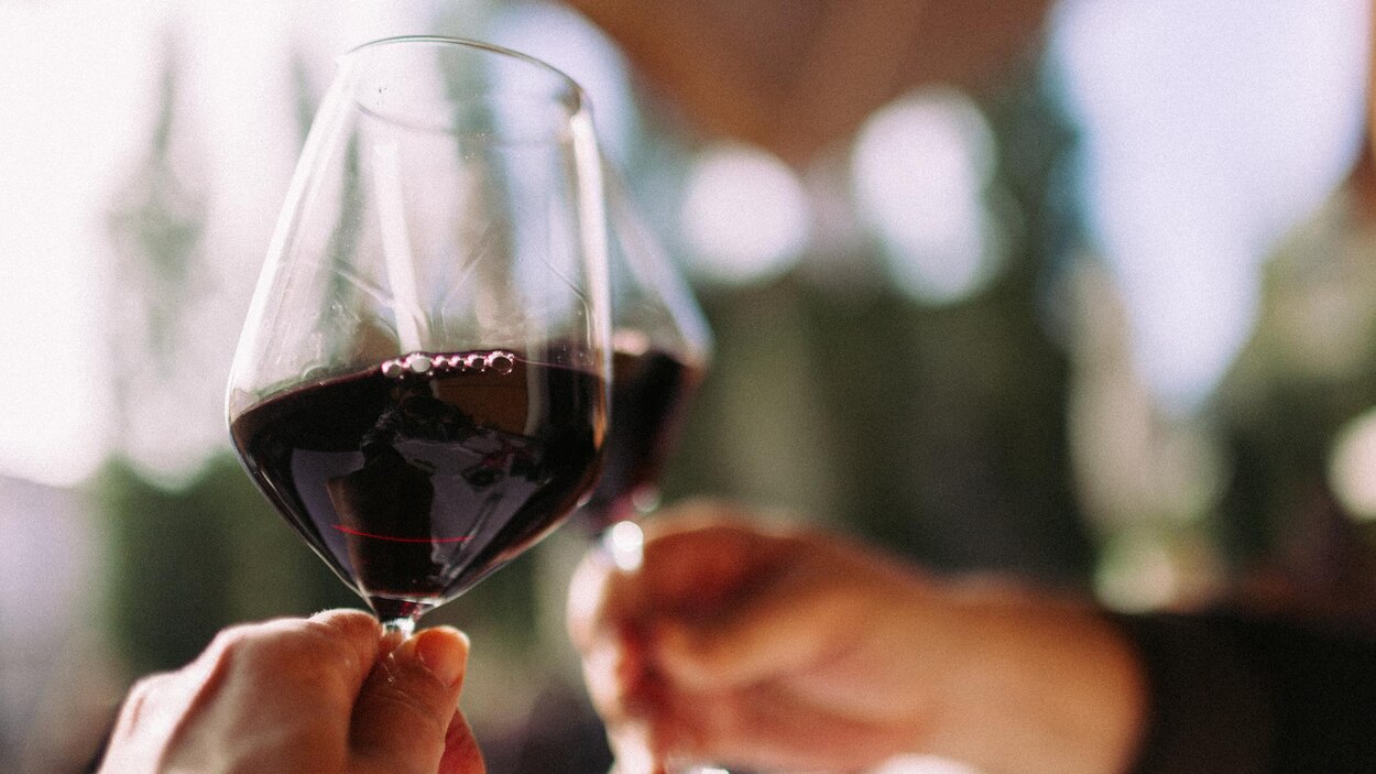Le vin rouge, bon ou pas pour la santé? | En bref | Radio-Canada
