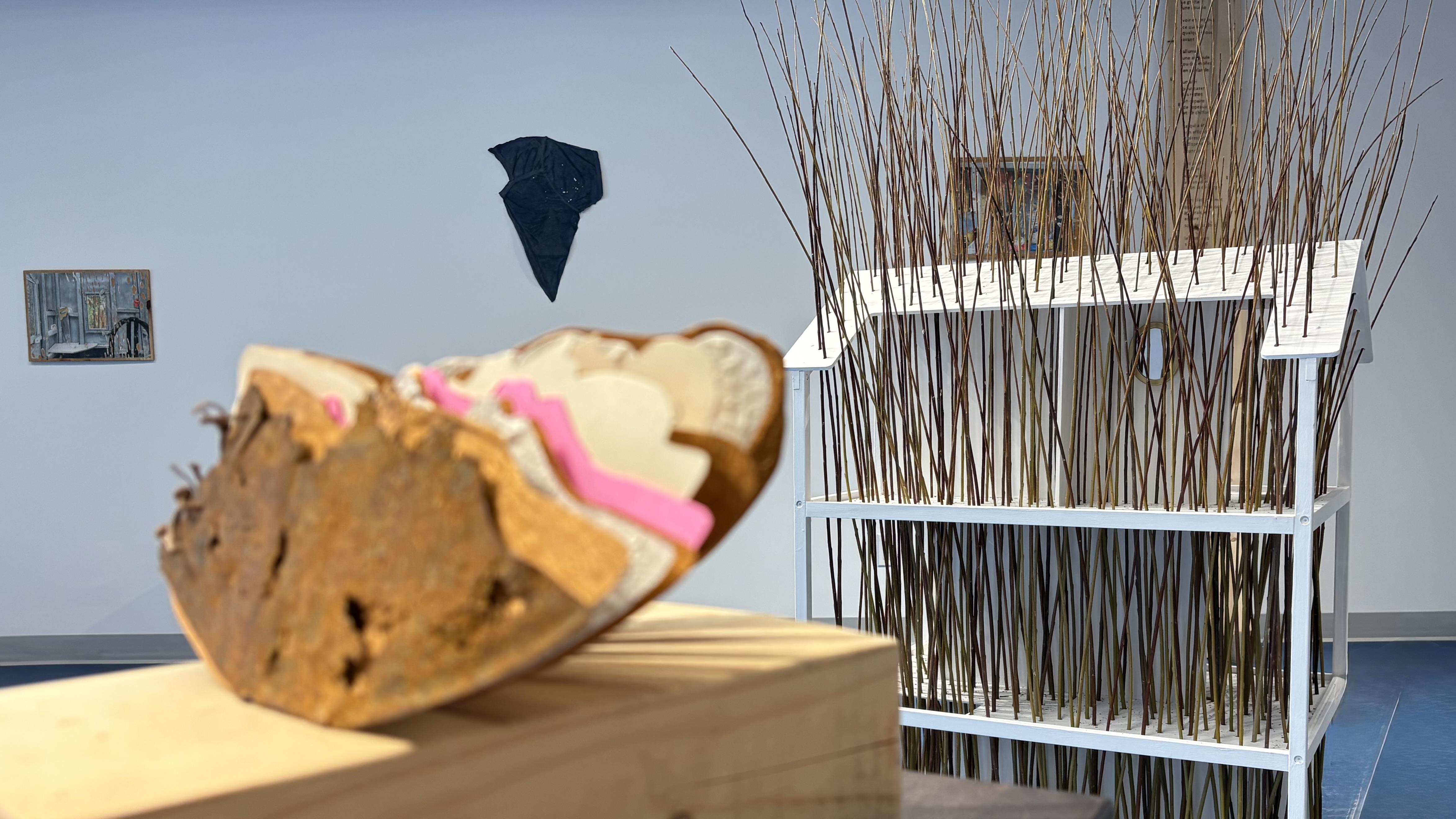 Broussailles, quand la nature s’invite dans l’intime