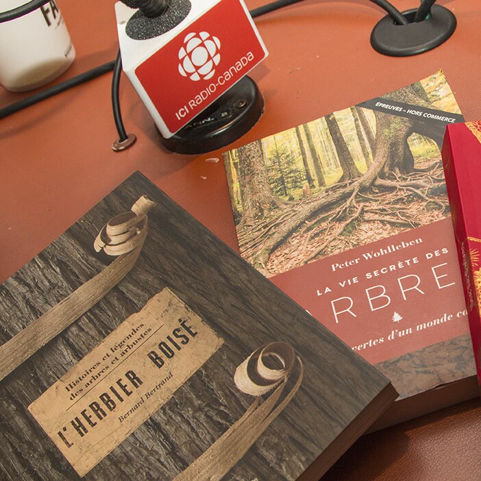 Des Livres à Découvrir Sur Les Arbres Médium Large - 