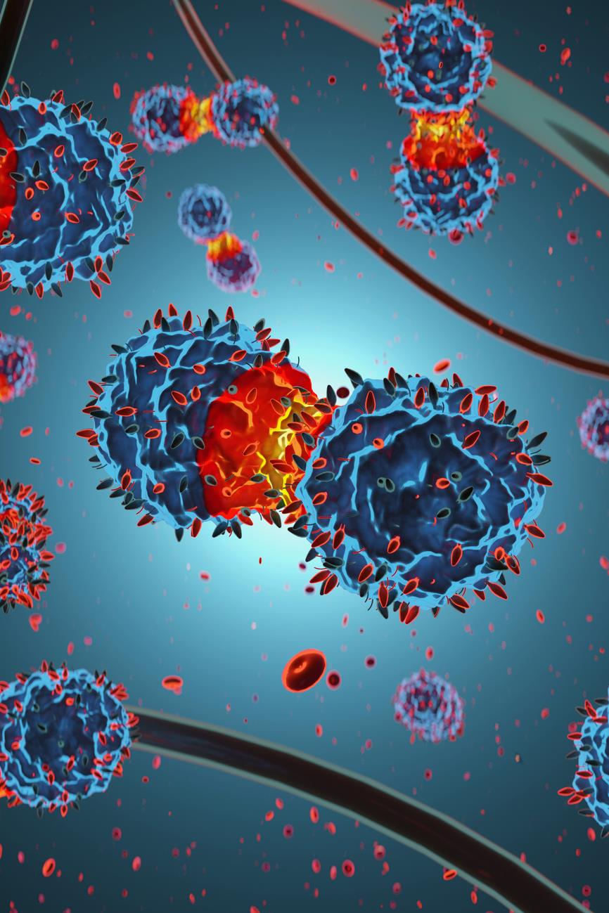Ilustración de la reproducción del coronavirus.