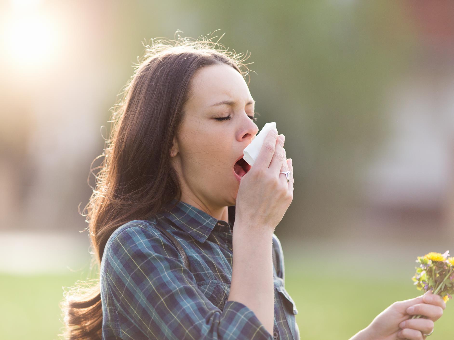 Tout savoir sur la saison du pollen en Ontario