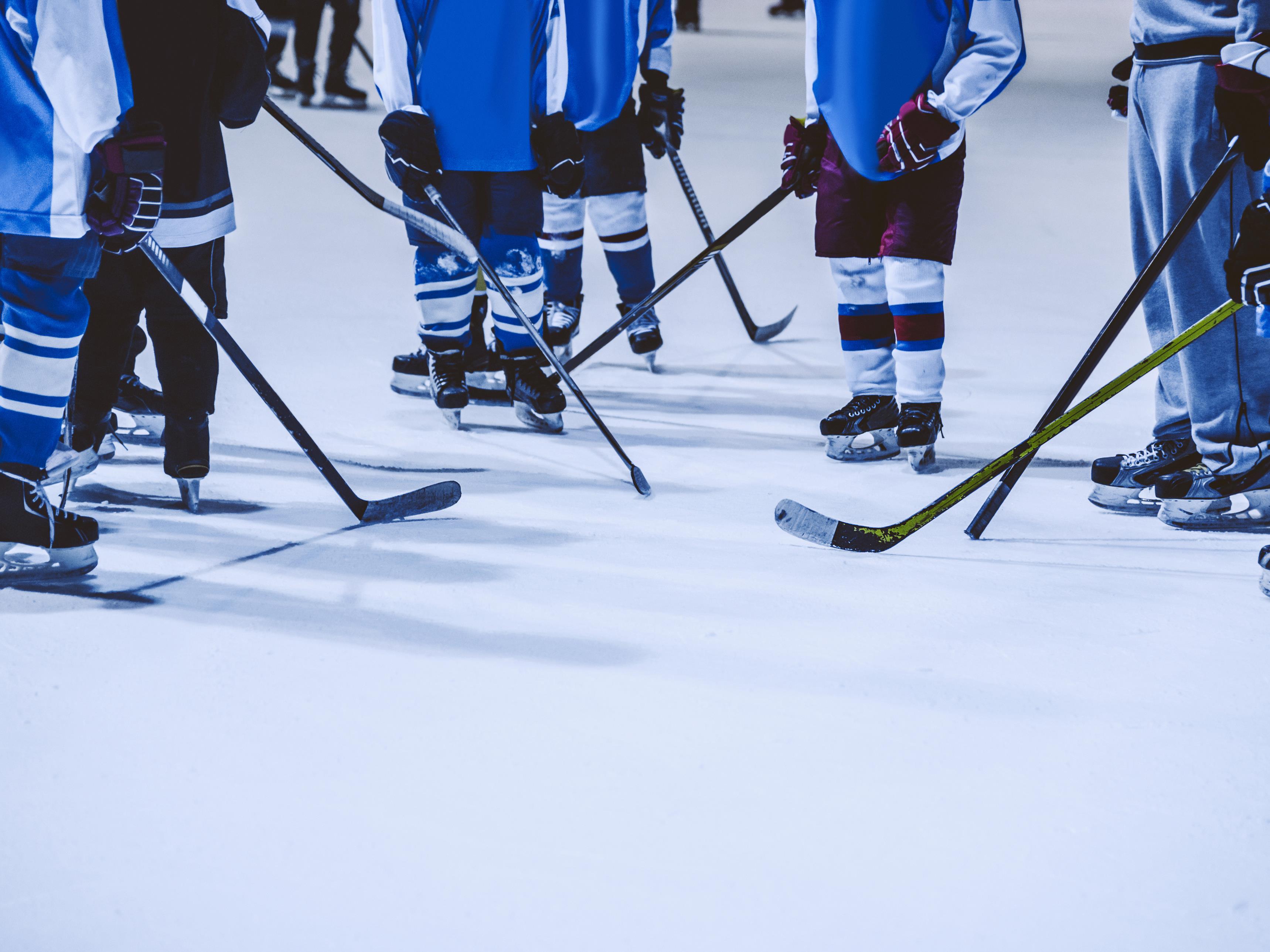 Rapport sur le développement du hockey : le comité veut prioriser le ...