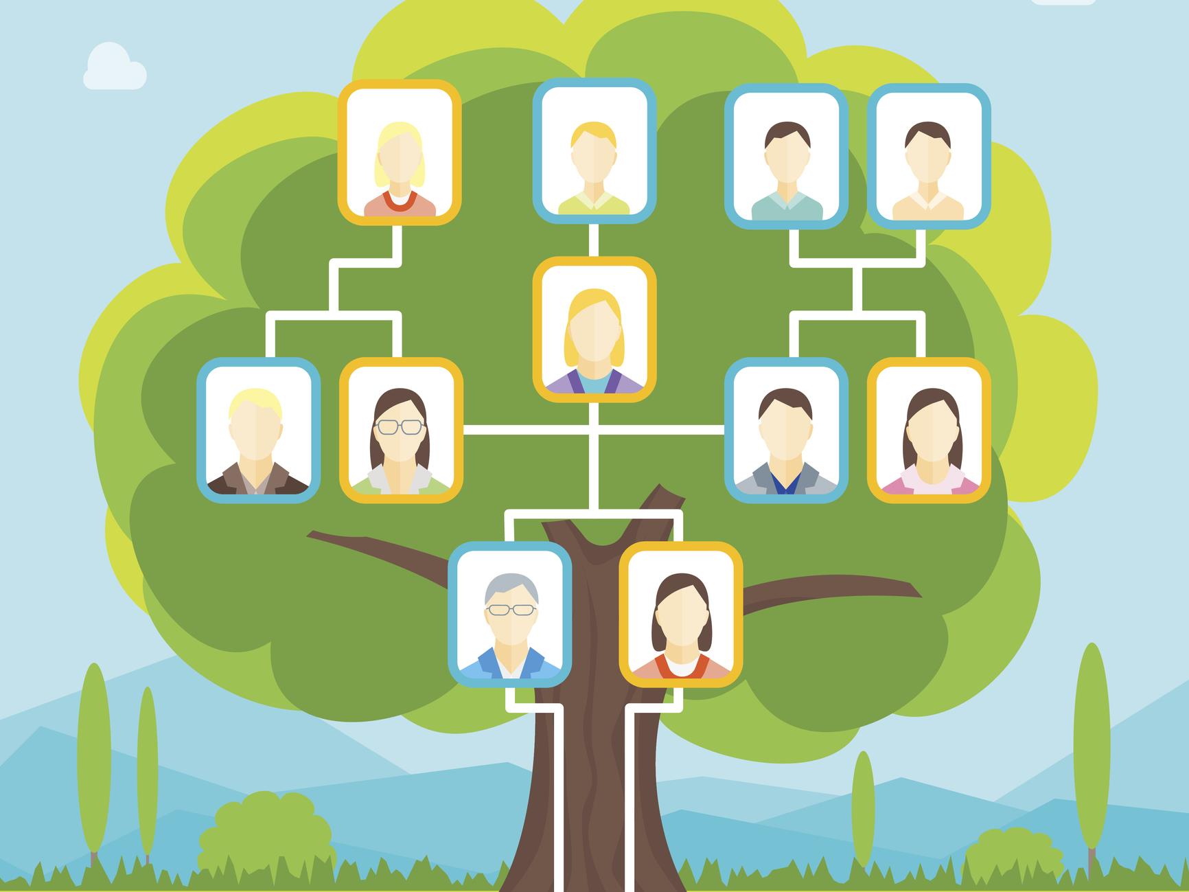 Faire des recherches généalogiques avec l’ADN