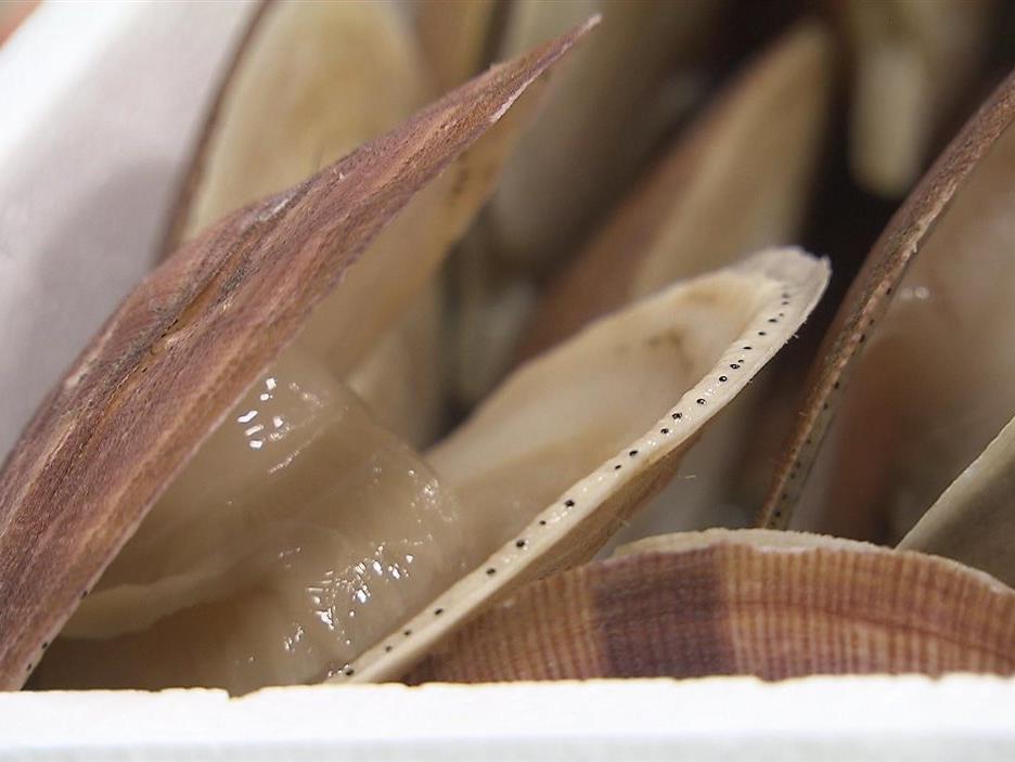 L’écoguide 2026 de Fourchette bleue est dévoilée