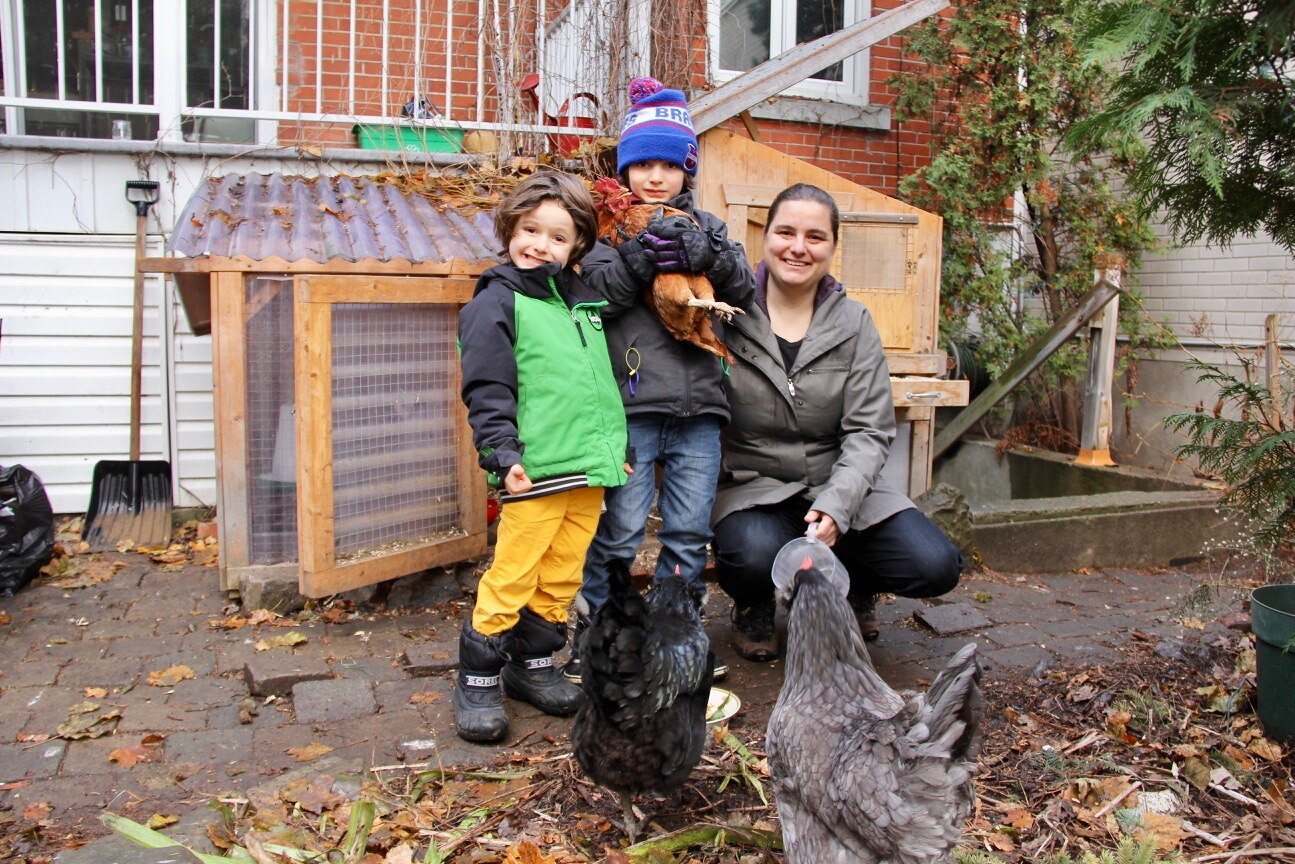 Quoi Faire Avec Ses Poules Urbaines Cet Hiver Gravel Le Matin