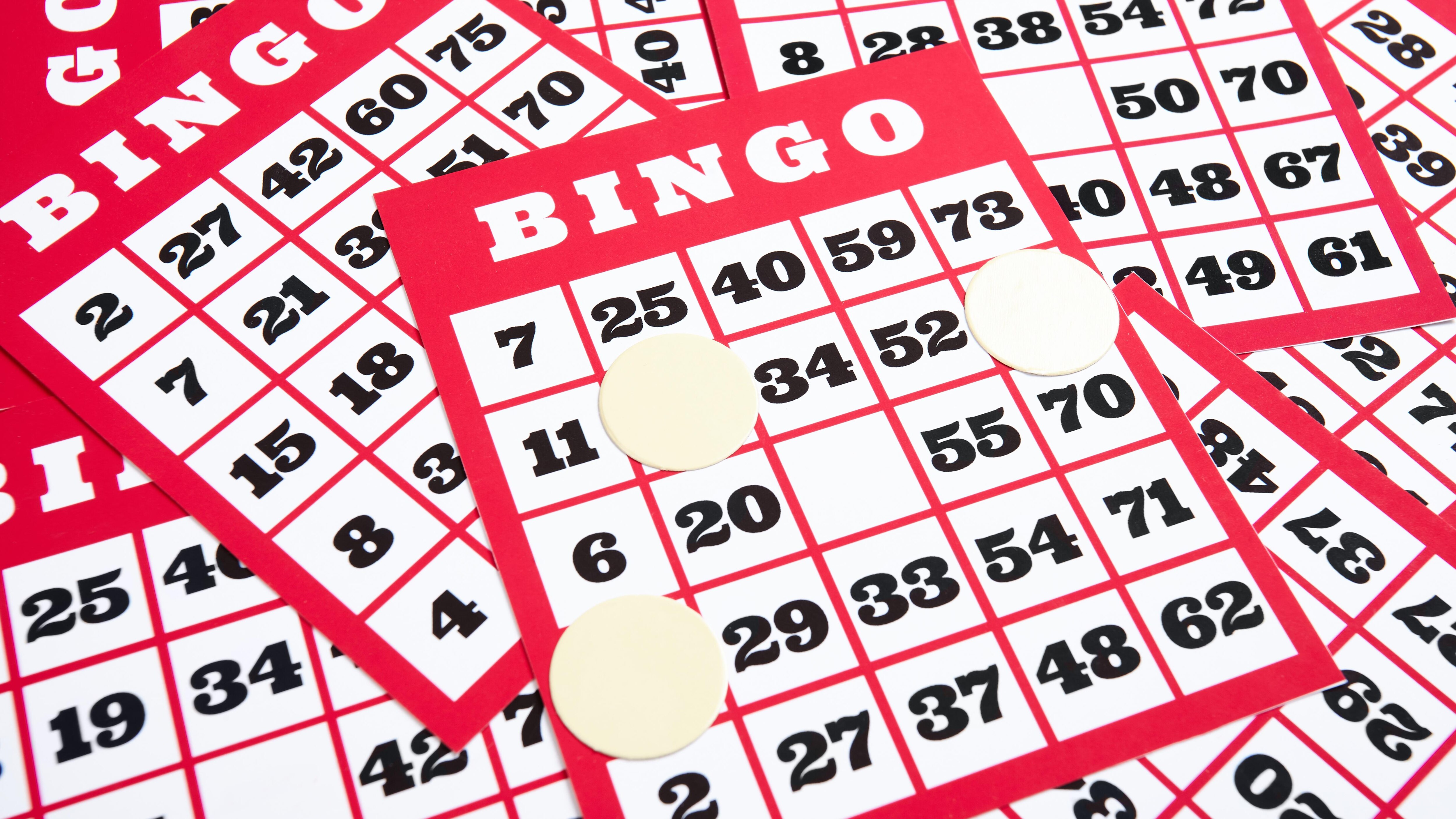 « B-12 ! » : Plongée dans une soirée bingo aux Îles