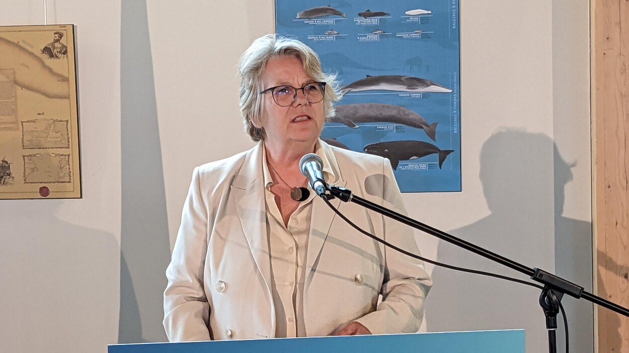 Près de 8 M$ pour agrandir le port de Gaspé | Radio-Canada