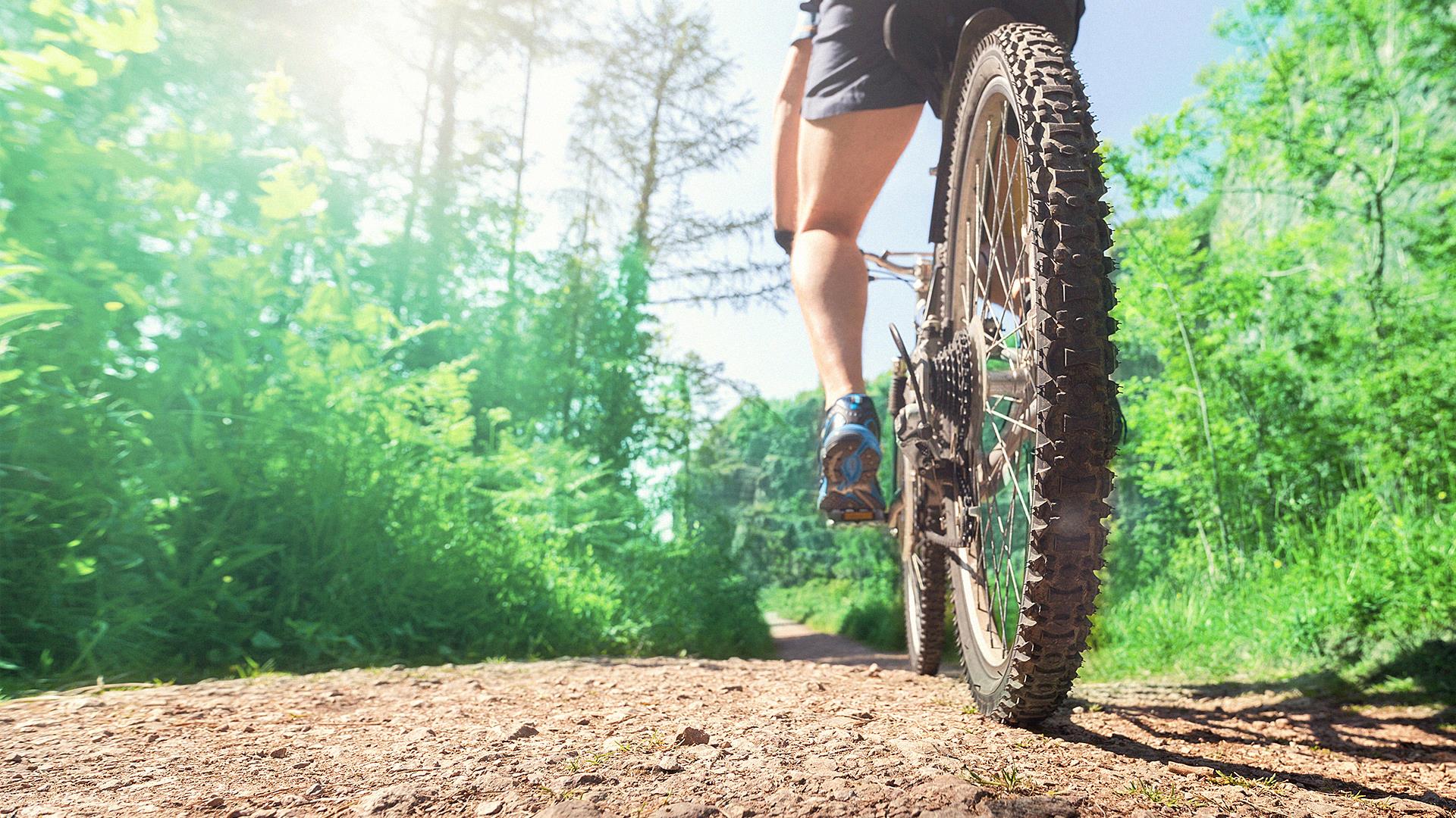 Un quart de si&egrave;cle pour le Club de v&eacute;lo de montagne Cyclone d&rsquo;Alma
Un quart de si&egrave;cle pour le Club de v&eacute;lo de montagne Cyclone d&rsquo;Alma
