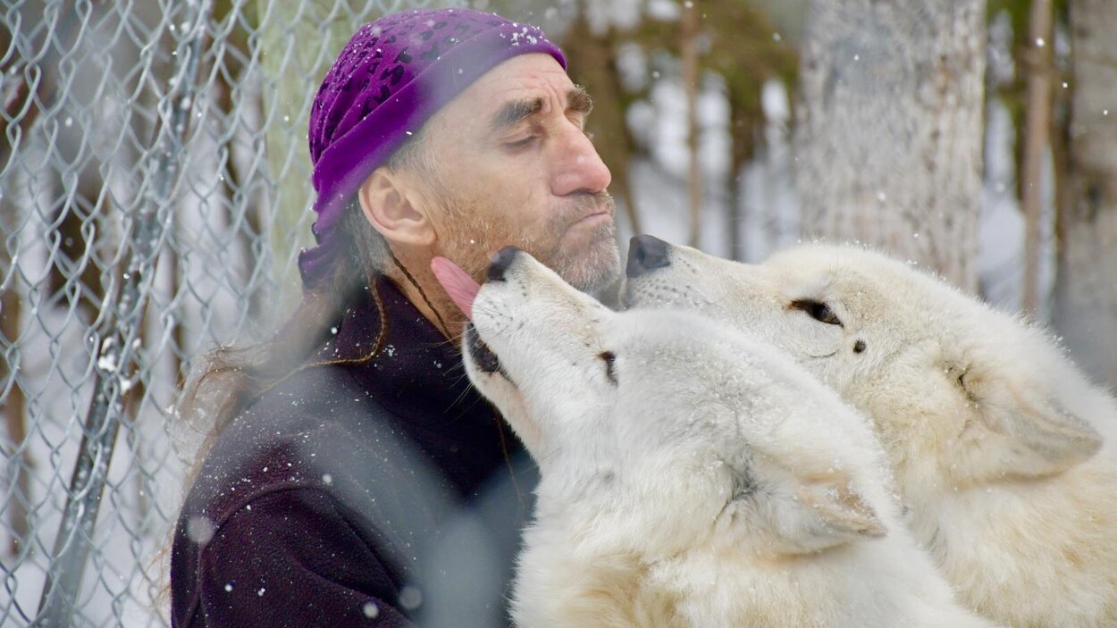 Oseriezvous dormir avec les loups? RadioCanada.ca