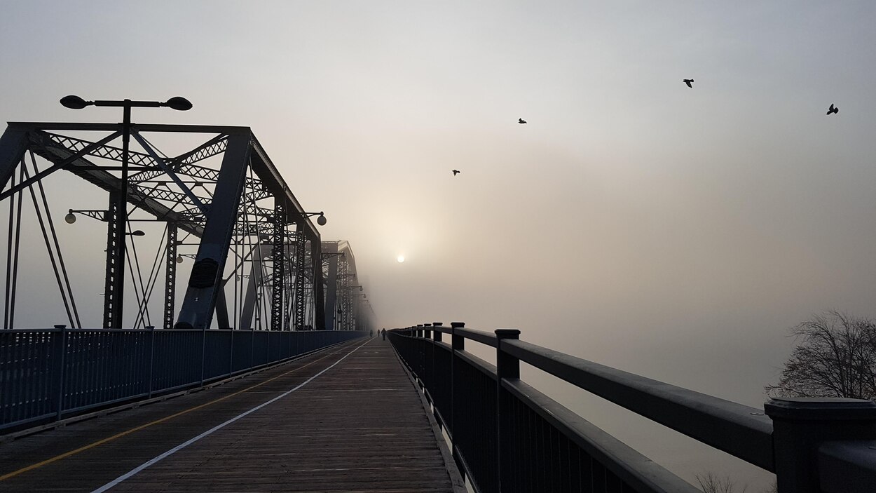 Le pont Alexandra ouvrira-t-il à la circulation? | En bref | Radio-Canada