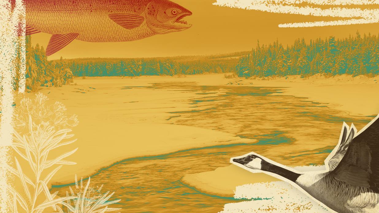 Innu: Une langue, un peuple | Radio-Canada.ca