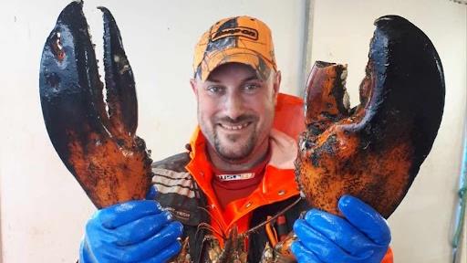 Incursion dans la vie d’un pêcheur de homard