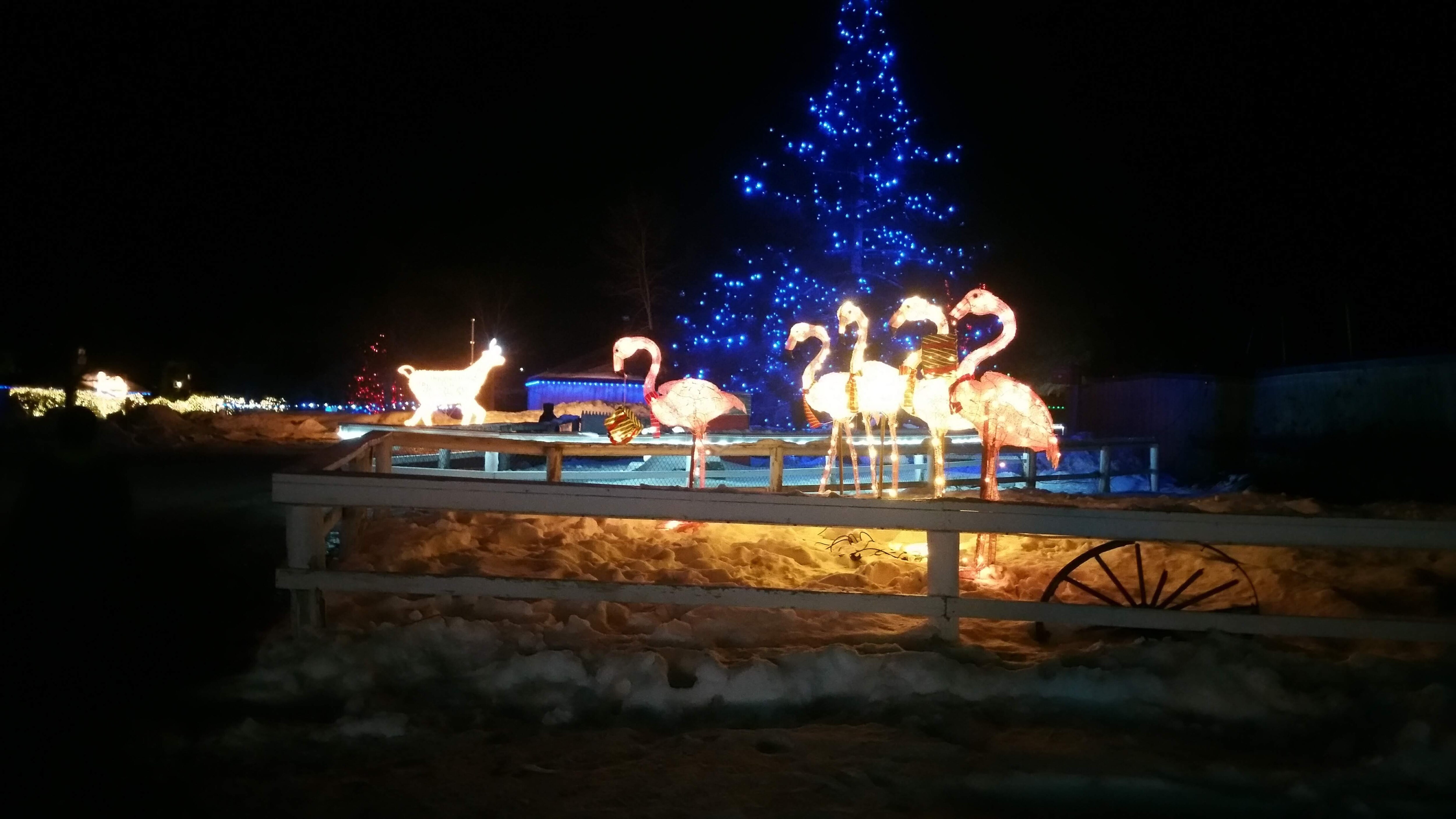 Le zoo de Moncton illuminé pour les fêtes