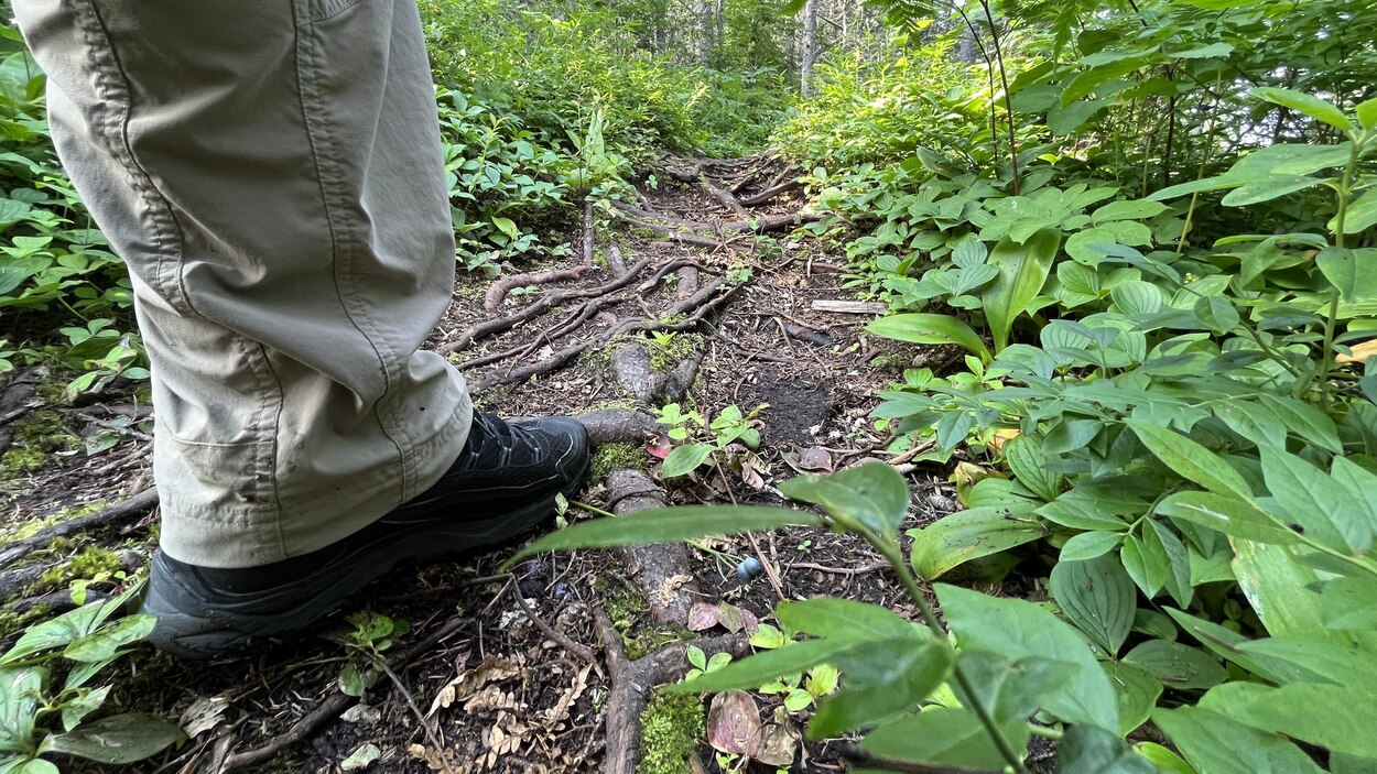 120 000 $ pour créer un sentier le long de la rivière des Rapides ...