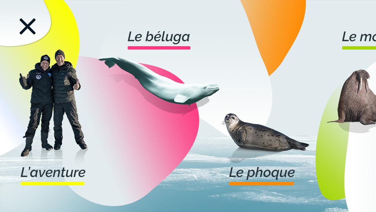 Une image de l'appli Aventure en Arctique : 2 aventuriers, un béluga, un phoque et un morse.
