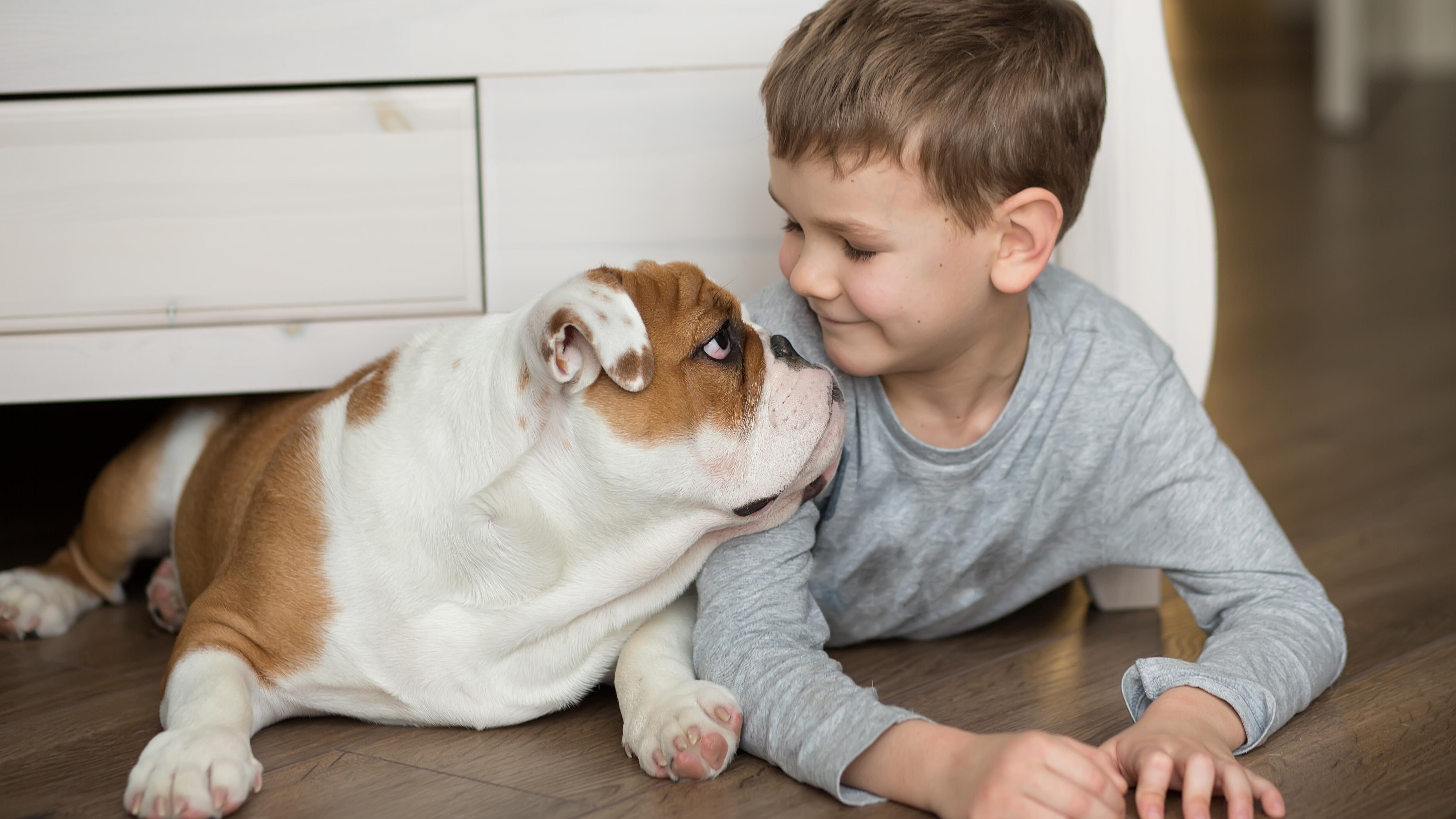 собаки для квартиры и детей. животные. мальчик с собакой. малыши животных. домашние животные для детей.