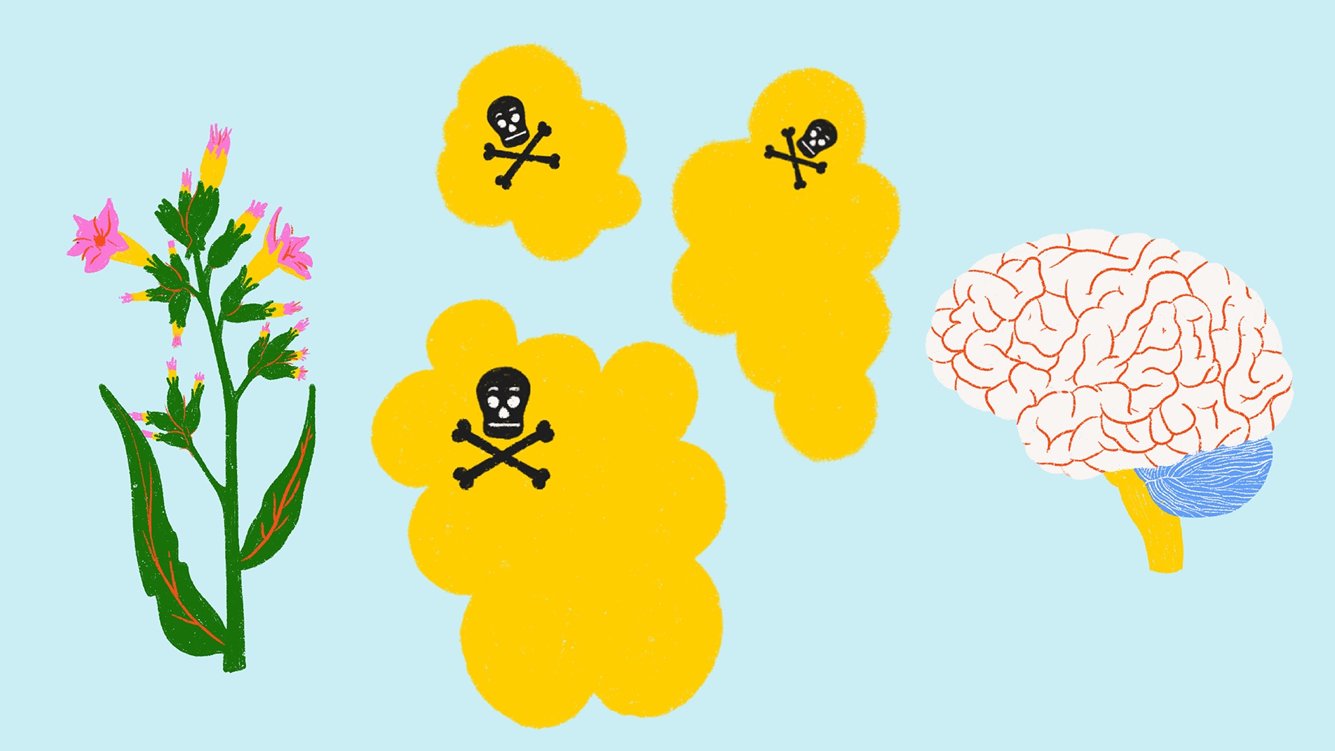Vrai ou faux? Mythes et vérités sur le vapotage | MAJ