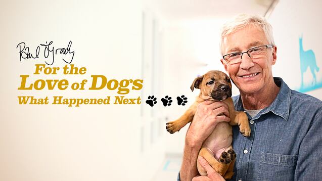 Paul O'Grady: For the Love of Dogs | Shows | CBC Gem - Paul Ogrady For The Love Of Dogs 2021