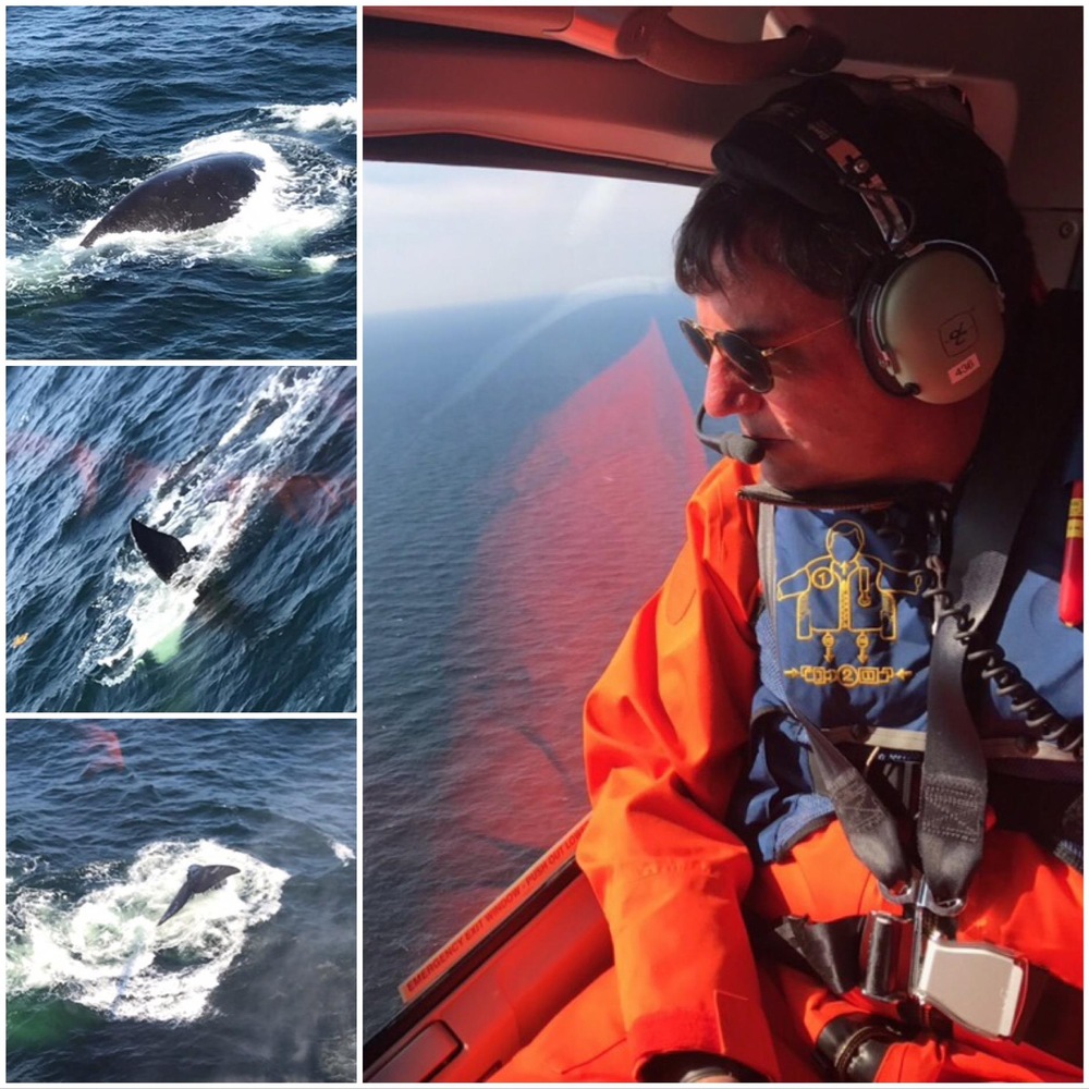 Le ministre Dominic LeBlanc a survolé une partie du golfe du Saint-Laurent pour observer les baleines noires et faire un était de la situation, jeudi matin.