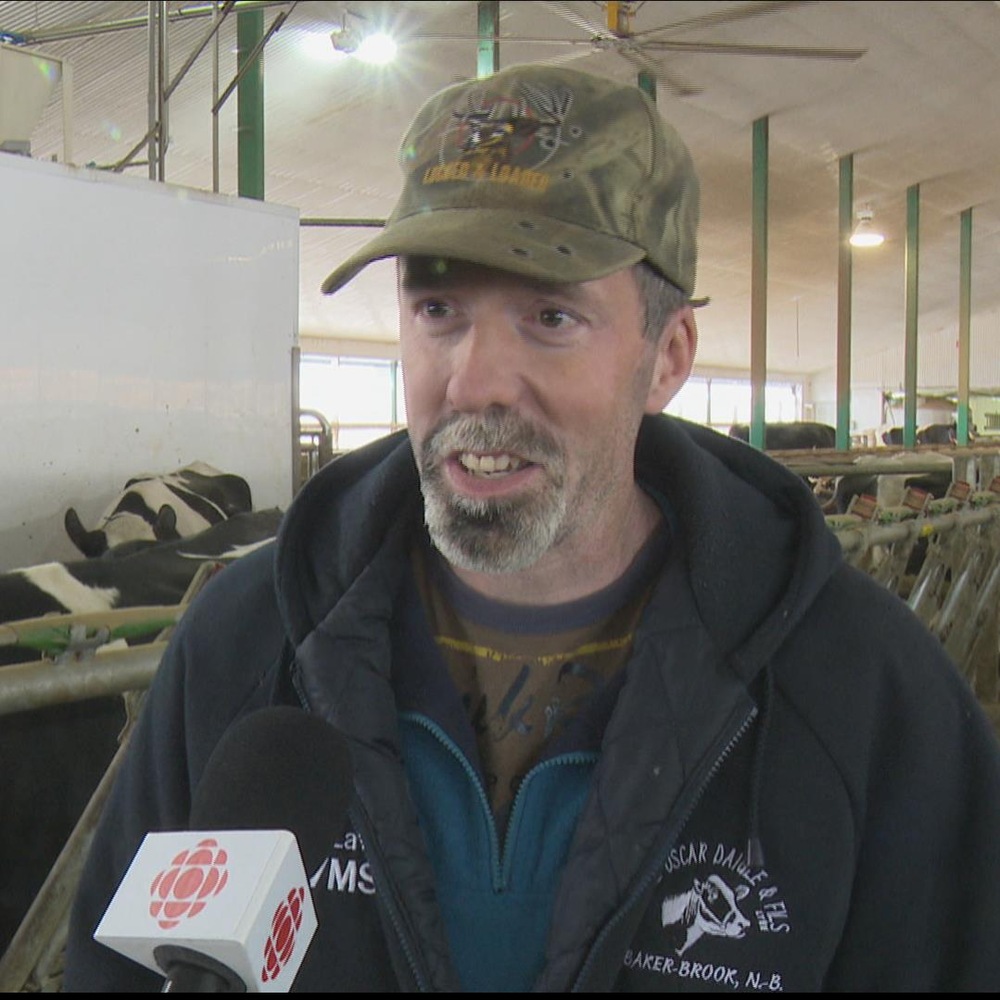 Marcel Daigle, propriétaire de la ferme Oscar Daigle et fils, à Baker-Brook au Nouveau-Brunswick, près de ses vaches. Marcel Daigle, propriétaire de la ferme Oscar Daigle et fils, à Baker-Brook au Nouveau-Brunswick, près de ses vaches.