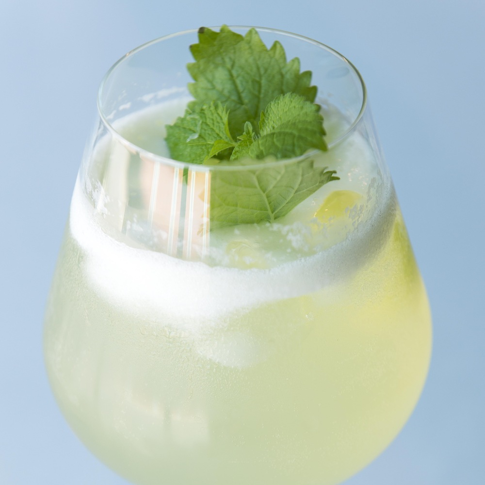 un verre avec une boisson alcoolisée. un verre avec une boisson alcoolisée.
