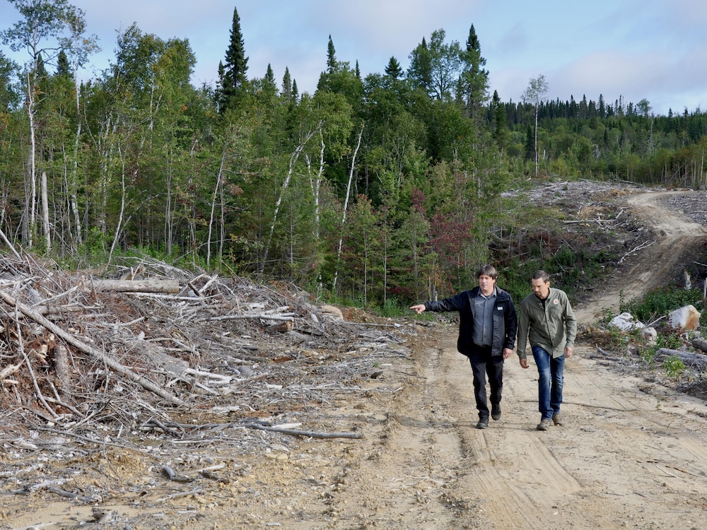 Jonathan Leblond et Bruno Caron marchent dans le chemin forestier. Jonathan Leblond pointe l’amas de bois sur le côté du chemin.