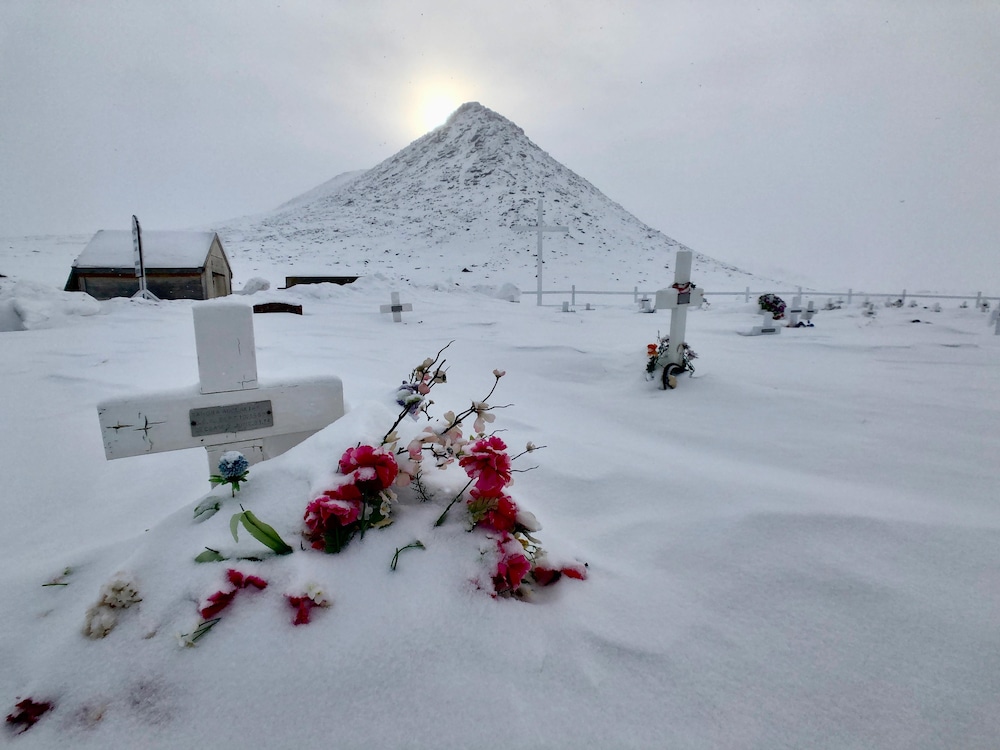 Des fleurs sont recouvertes de neige dans le cimetière de Qikiqtarjuaq.