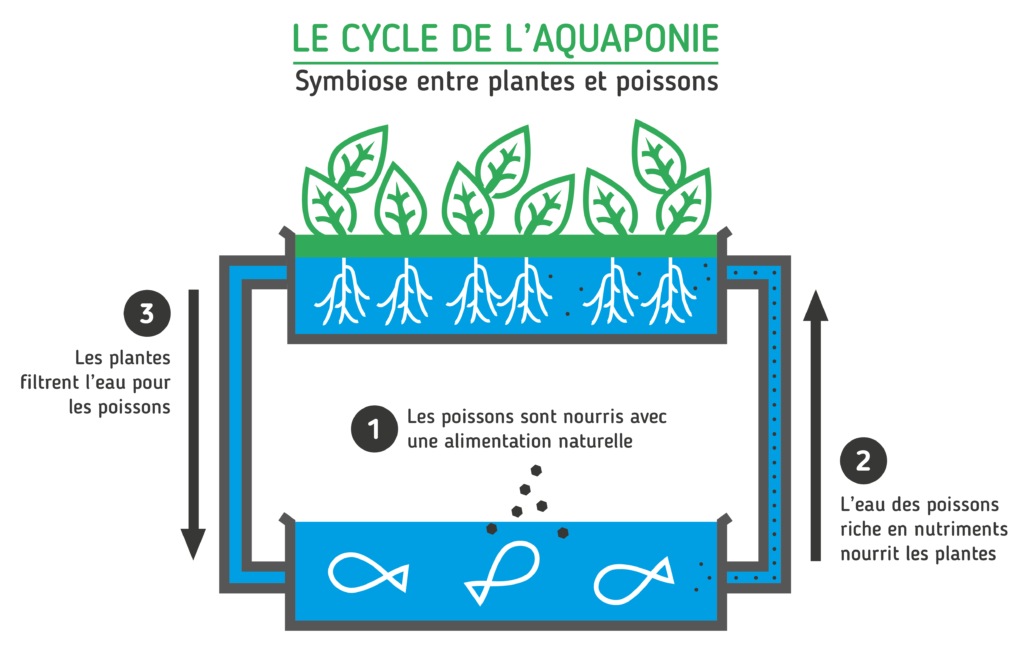 Un diagramme montrant le fonctionnement de base des fermes verticales d'Écosystèmes alimentaires urbains Un diagramme montrant le fonctionnement de base des fermes verticales d'Écosystèmes alimentaires urbains