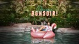 PUBLICITÉ. Bonsoir, Bonsoir!, du lundi au jeudi 21h, sur ICI TÉLÉ et sur tou.tv. Animée par Jean-Philippe Wauthier. Présentée par Maison Corbeil.