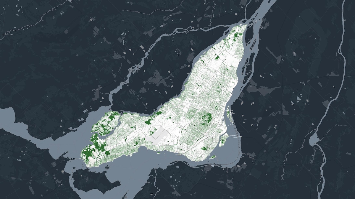 « Une carte des arbres à Montréal, c’est une carte du statut social dans la ville »