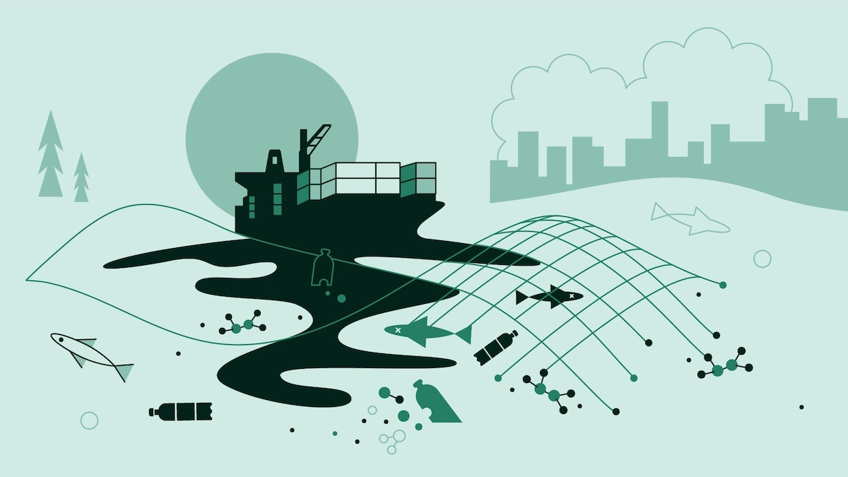 Le vrai du faux sur le climat : les sources de pollution | Radio-Canada.ca