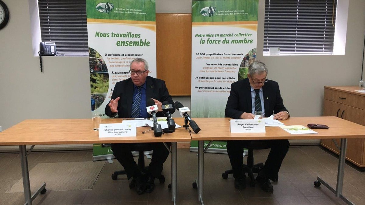 Le Syndicat des producteurs forestiers du Bas-Saint-Laurent a dévoilé jeudi son bilan pour l'année 2016. Le Syndicat des producteurs forestiers du Bas-Saint-Laurent a dévoilé jeudi son bilan pour l'année 2016.
