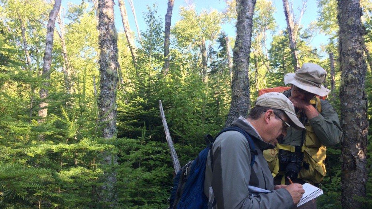Des chercheurs au travail Des chercheurs au travail