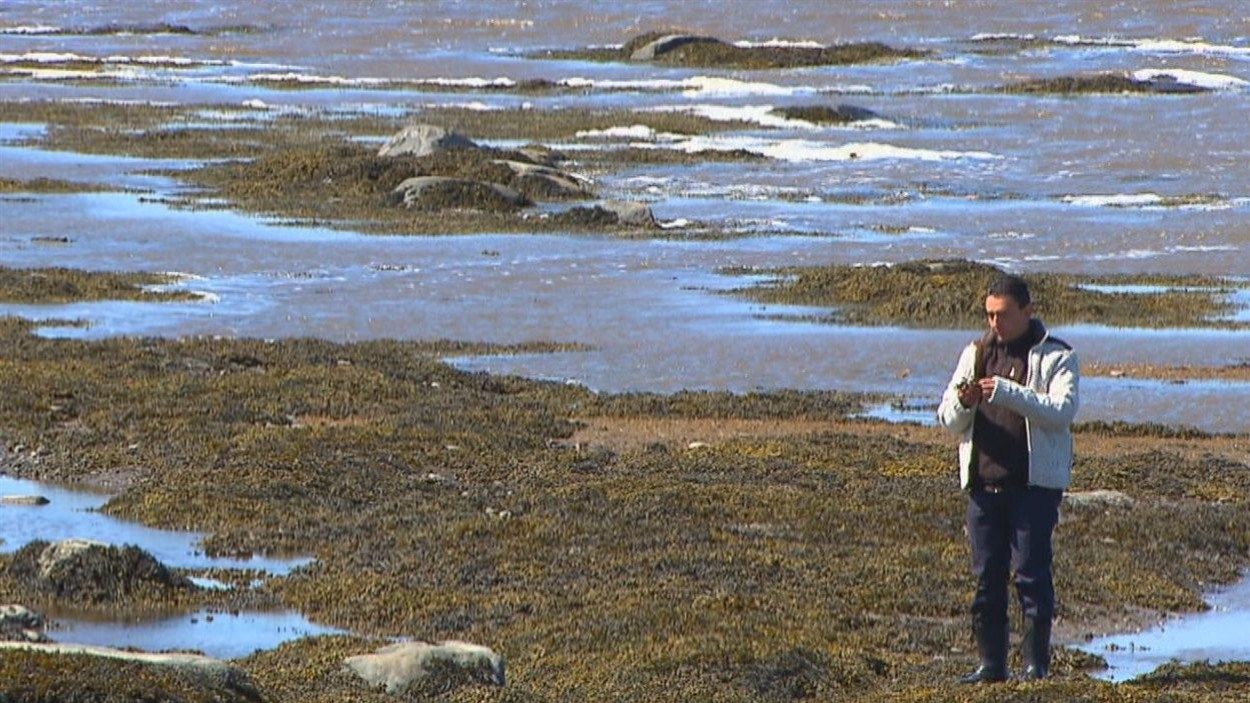 Le professeur Amine Badri procède à des prélèvements sur la berge pour les analyser ensuite en laboratoire. (Archive) Le professeur Amine Badri procède à des prélèvements sur la berge pour les analyser ensuite en laboratoire. (Archive)