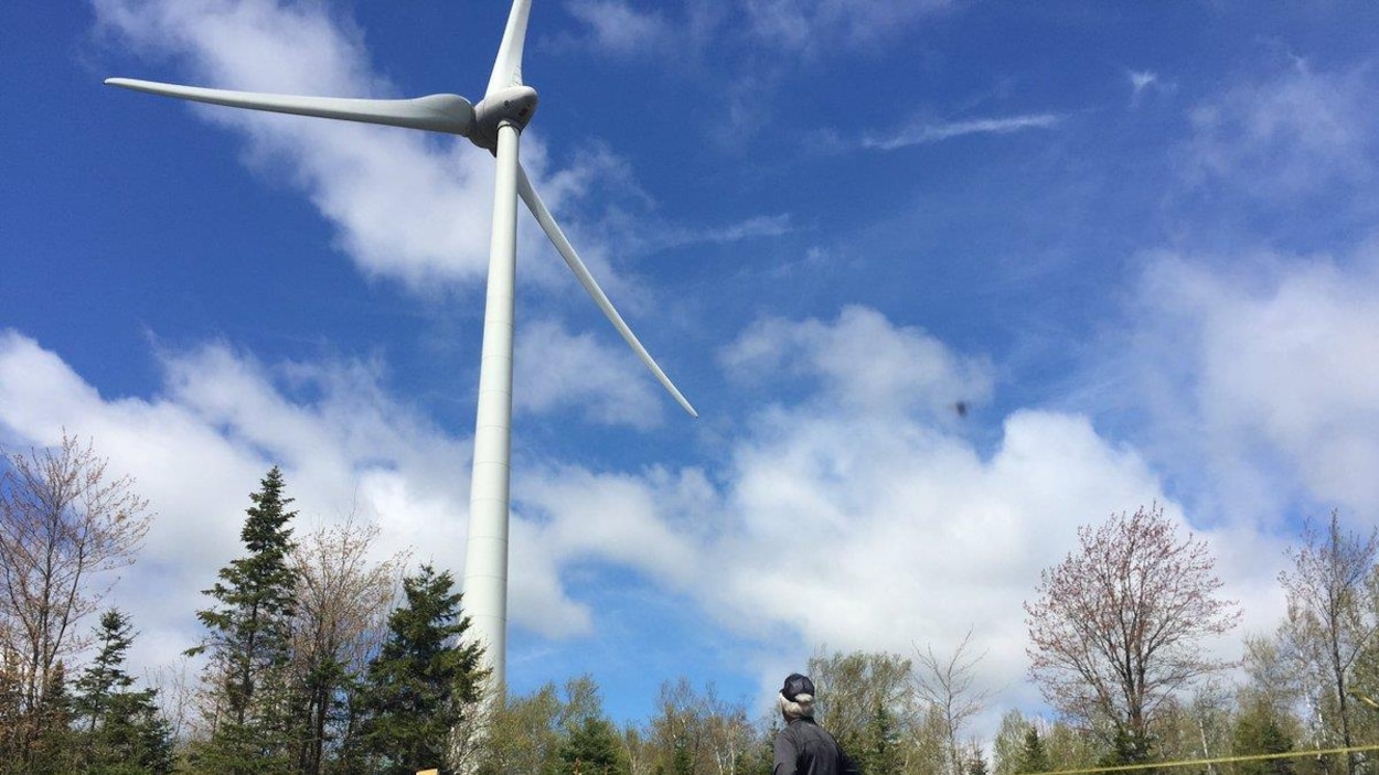 Un homme regarde une éolienne. Un homme regarde une éolienne.
