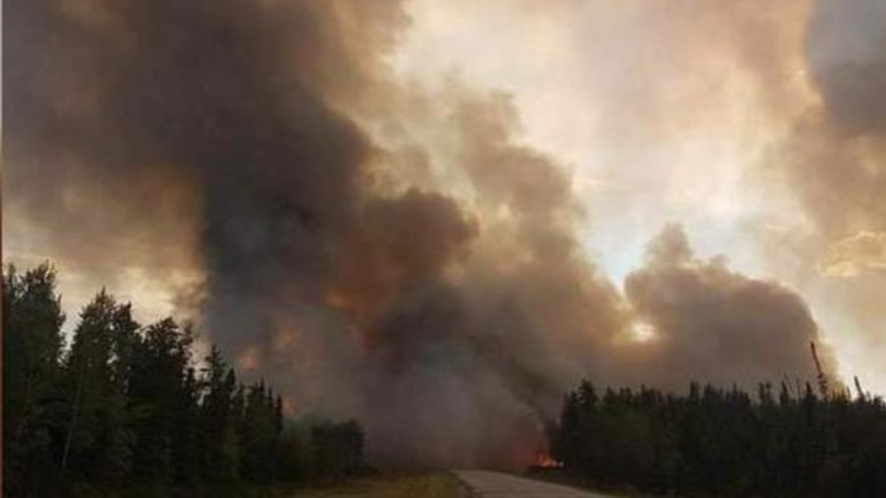 Un feu de forêt. Un feu de forêt.