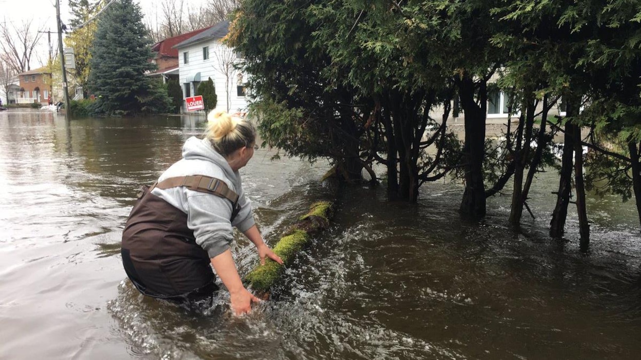 Une femme redirige un billot de bois. Elle a de l'eau jusqu'à la taille. Une femme redirige un billot de bois. Elle a de l'eau jusqu'à la taille.