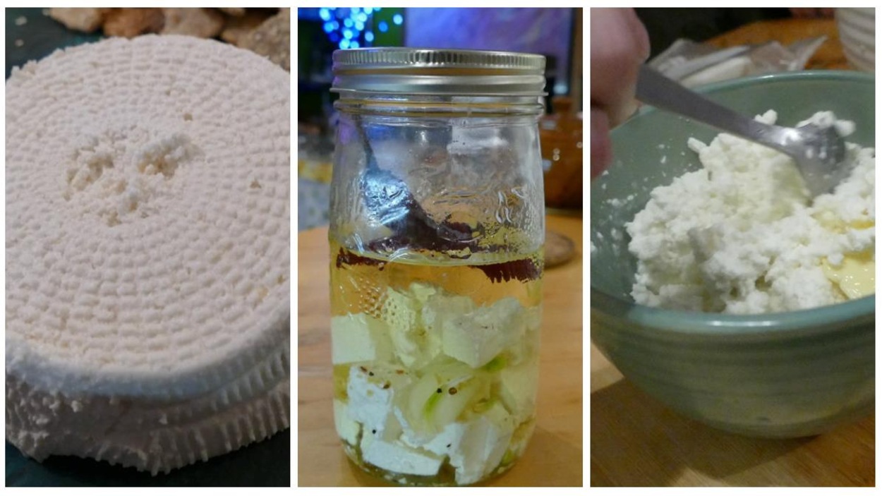 Photos des trois fromages de chèvre : chèvre, feta et ricoat Photos des trois fromages de chèvre : chèvre, feta et ricoat