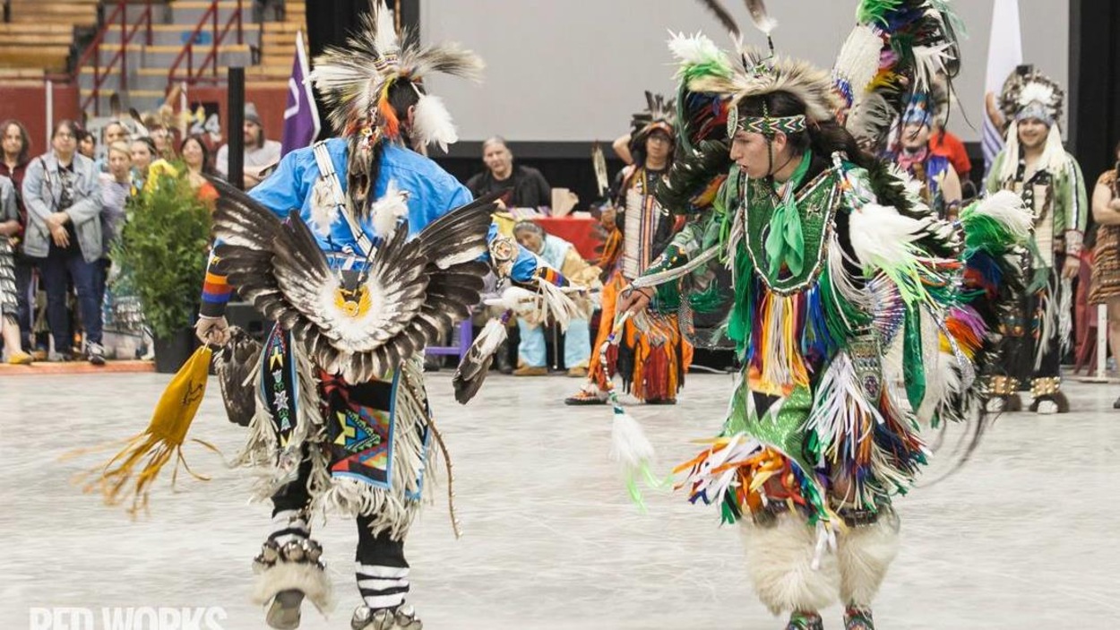 Фиалки фото pow wow