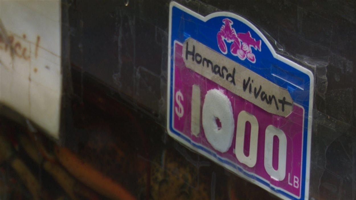 Prix du homard Prix du homard