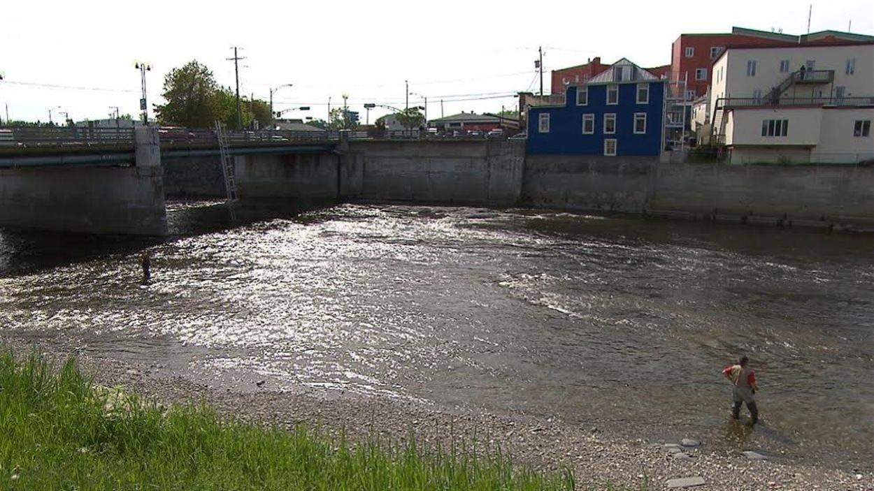 La rivière Matane, une expérience de pêche au saumon en plein centre-ville La rivière Matane, une expérience de pêche au saumon en plein centre-ville